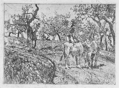 Cattle Amongst Olive Trees by Giovanni Fattori